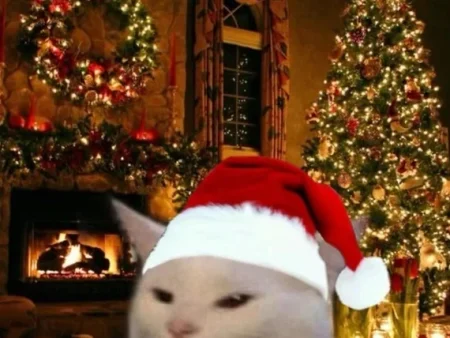 Weihnachtsaktionen 2025: Casino Boni, Freerolls BitStarz, BC.Game & mehr