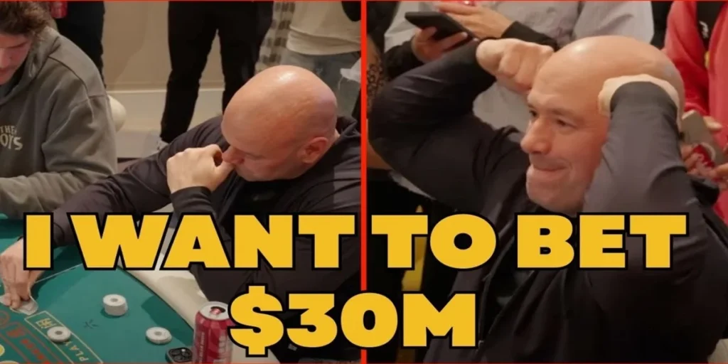 dana white 30m netflix