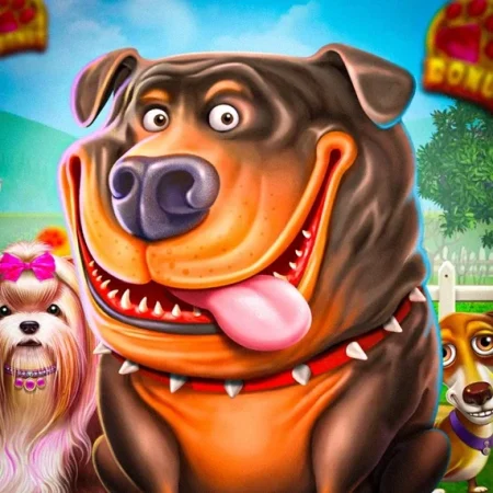 Pragmatic Play Slots: Ein ehrlicher Guide zum meistgespielten Studio der Casino-Welt