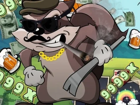 Hacksaw Gaming: Wie ein Waschbär zur 57-Millionen-Euro-Franchise wurde