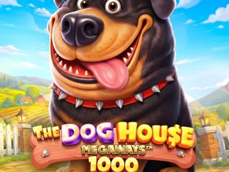 The Dog House ist zurück – und diesmal beißt er richtig zu!